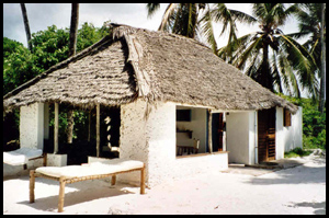 Villa and bungalow rentals in Zanzibar
