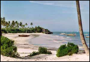 Locations villa et bungalow Zanzibar, Zanzibar maison vacances, Zanzibar villa vacances, Zanzibar bungallow vacances, Zanzibar location vacances